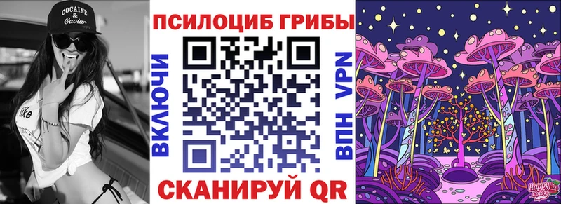 Купить закладки  Лесной  Псилоцибиновые грибы прущие грибы 
